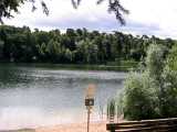See-Idylle an einem Juni-Sonntagmorgen. : See, hochholz, Walldorf, Fische